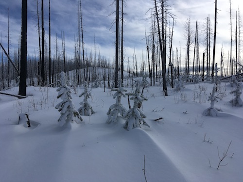 nearing summit plateau