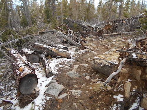 stay on the trail folks